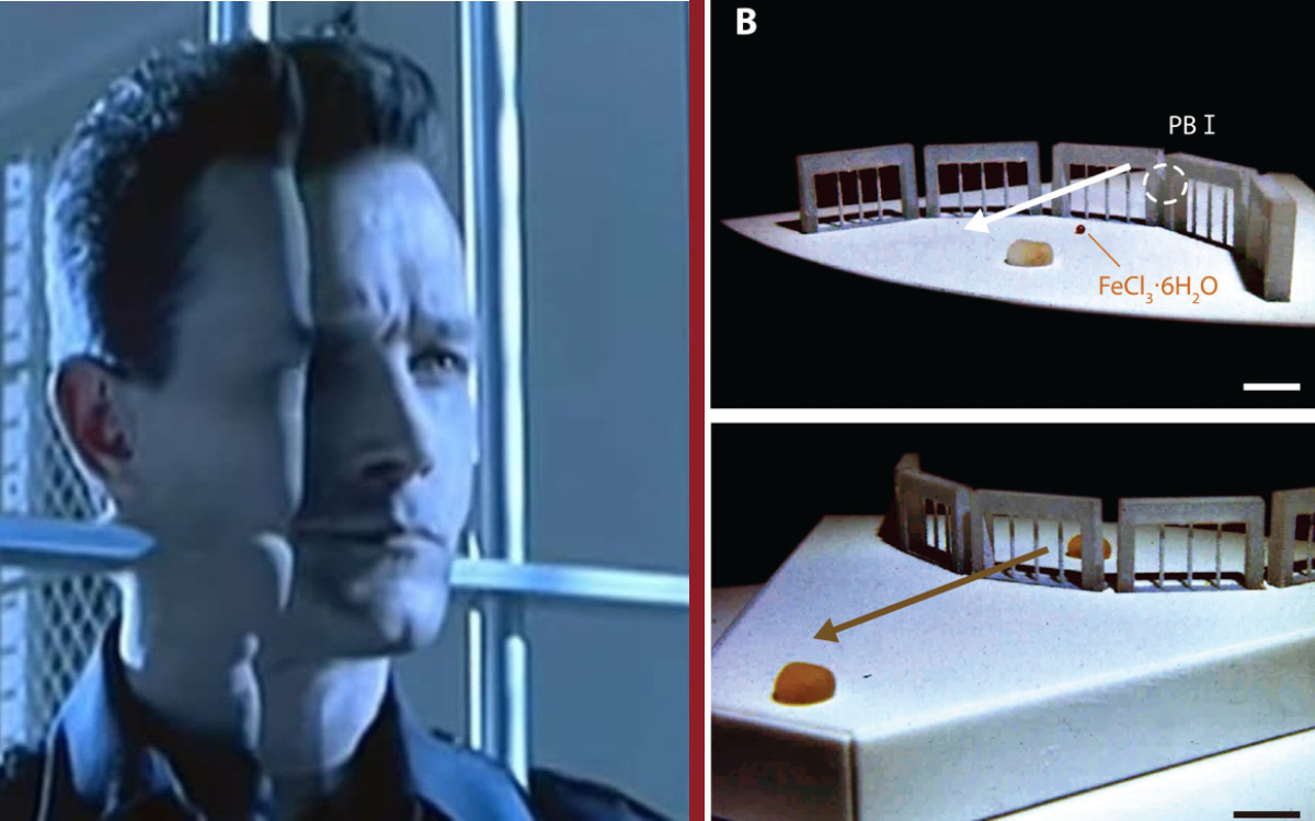 El futuro llegó: crean un robot líquido que emula al T-1000 de Terminator 2