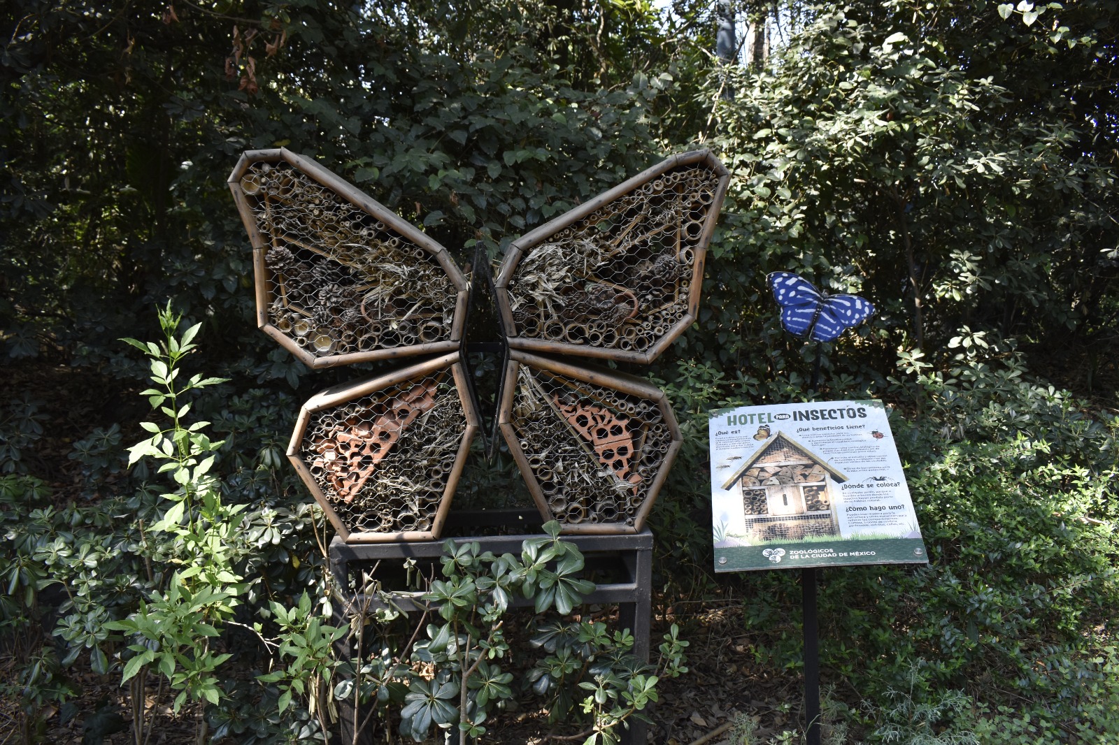 El Zumbido que Salva al Mundo: Centro de Chapultepec Rinde Homenaje a las Abejas