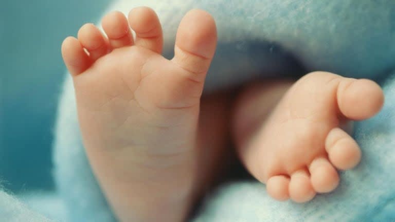 Reino Unido celebra el nacimiento de ocho bebés libres de enfermedades mitocondriales gracias a innovadora técnica genética