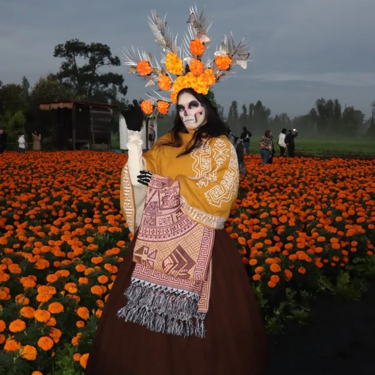 Ruta del Cempasúchil 2025: un viaje entre flores, leyendas y memoria