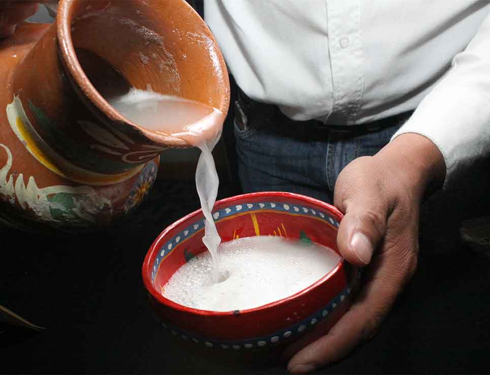 La ruta del pulque de autor: de las pulquerías clásicas a los templos “gourmet” de la fermentación