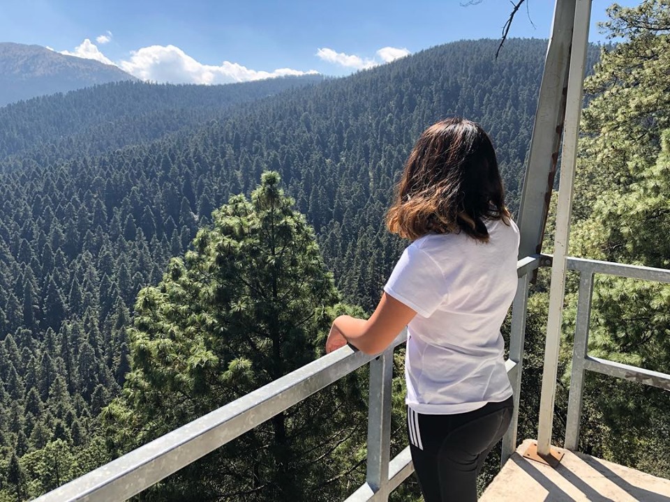 Senderismo sin sorpresas: guía para identificar la flora y fauna en los volcanes y bosques de México