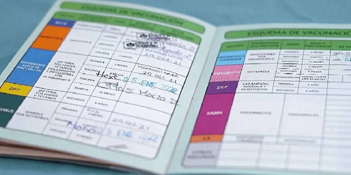 ¿Perdiste tu Cartilla de Vacunación? Guía paso a paso para recuperarla este 2026